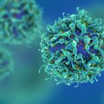 3d-illustration-t-cells-CAR-T-ss-FEATURE