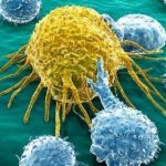 immuno oncology