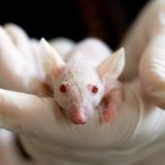 Skin-on-a-Chip-Singaporean-scientists-develop-device-which-can-replace-animal-testing_wrbm_large