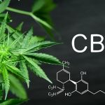 CBN chemical formula Beautiful background of green cannabis flowers A place for copy space