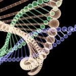 DNA-Spiral-Stock-image.jpg