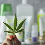 Cannabis leaf in a female hand on a background with various hemp-based cosmetics.